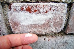 identifying efflorescence