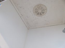 Mould on a Bathroom ceiling 